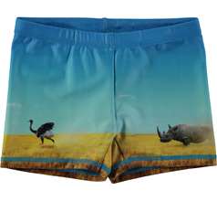 Norton Placed Swimwear